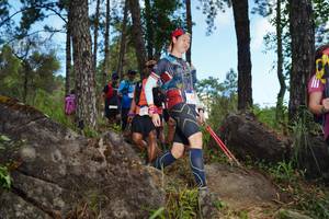 BIB: 210
                            <button type="button" onclick="openModal(18964266)" class="btn btn-primary btn-sm float-right btn-popup" data-toggle="modal" data-target=".modal-high-quality">
                        <i class="fas fa-shopping-cart"></i> Add to Cart
                    </button>
                                            <button type="button" onclick="isThisMe(18964266, true)" class="btn btn-success btn-sm float-right btn-popup btn-isme hidden" data-toggle="tooltip" data-placement="bottom" title="นี่คือรูปของคุณใช่ไหม คลิกที่นี่เพื่อเอาเข้าอัลบั้ม">
                        <i class="fas fa-plus"></i> Add to album
                    </button>
                    <button type="button" onclick="isThisMe(18964266, false)" class="btn btn-warning btn-sm float-right btn-popup btn-isnotme hidden">
                        <i class="fas fa-ban"></i> Remove from album
                    </button>